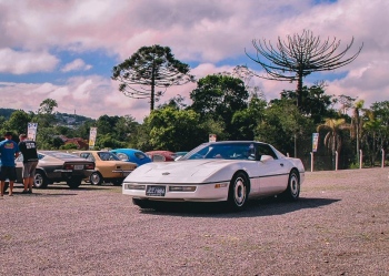 1984 Chevrolet Corvette