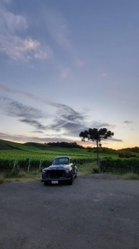 1961 GM Chevrolet Brasil 3100